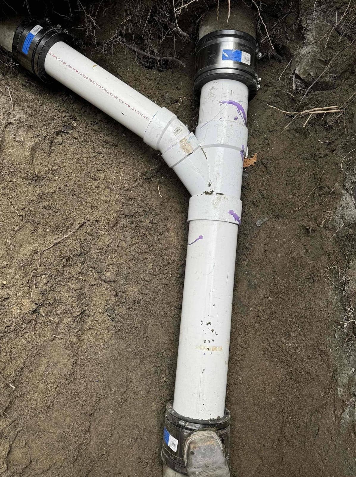 New Sewer Line Y-Fitting After Clearing Tree Roots